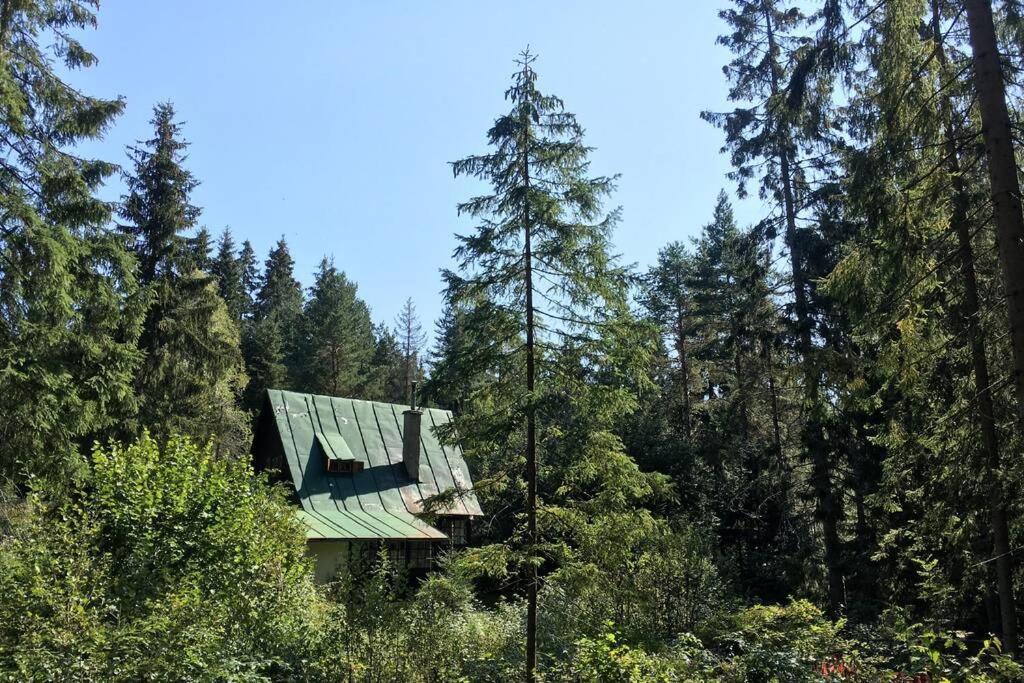 Enchanted Forest Chalet Tatranska Strba Exterior foto