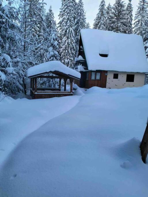 Enchanted Forest Chalet Tatranska Strba Exterior foto
