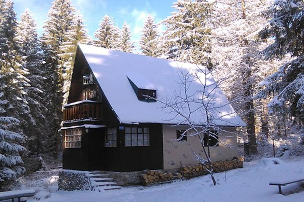 Enchanted Forest Chalet Tatranska Strba Exterior foto